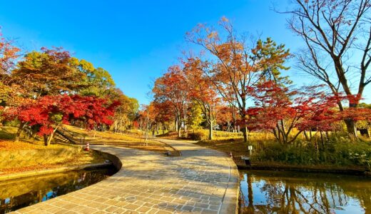 【失敗談】英検1級リベンジマッチで得意の英作文を失敗し、また惨敗（2023年10月）