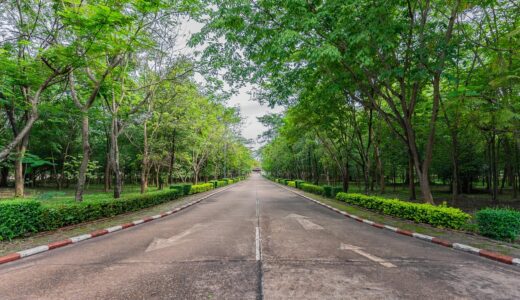 なぜ英検準1級は「割に合わない試験」と感じることがあるのか